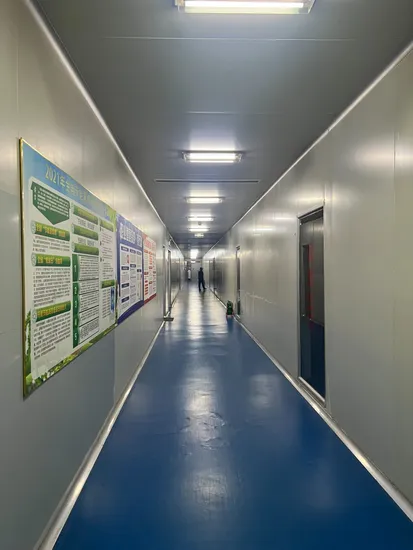 60ml Disposable Big Plastic Catheter Tip Syringe 